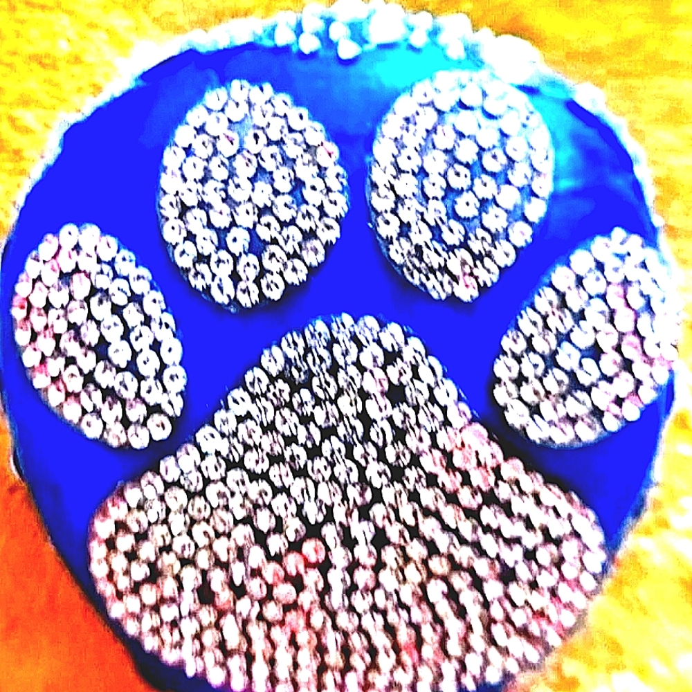 One-Of-A-Kind HAND PAINTED ROCK WITH RHINESTONE PAW PRINT
